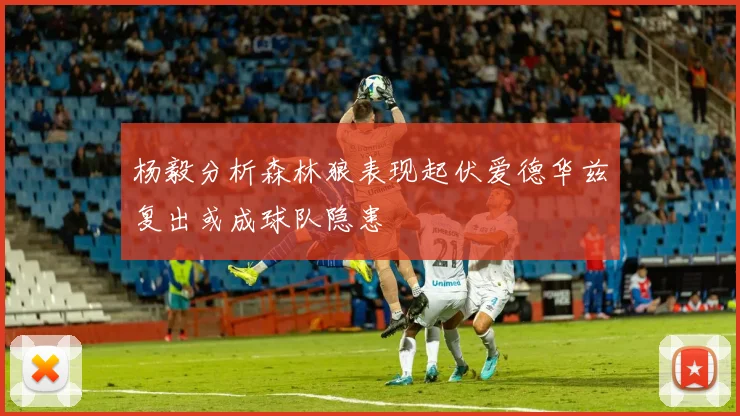 杨毅分析森林狼表现起伏爱德华兹复出或成球队隐患